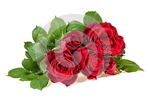 Fresh red roses bouquet isolated on white backgroumd