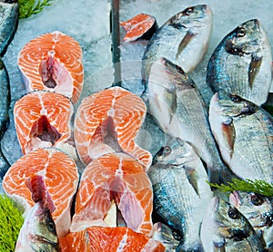 Fresh red salmon fish and dorado fish on ice