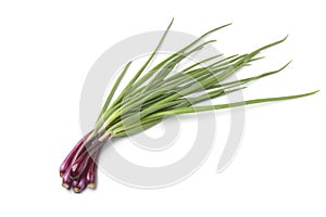 Fresh red scallions