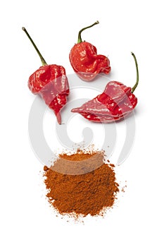 Fresh red scorpion chili peppers and chili powder