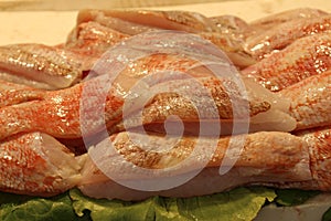 Fresh `Red Scorpion Fish` fillets - Scorpaena Scrofa