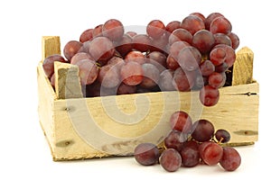 Fresh red seedless grapes on the vine