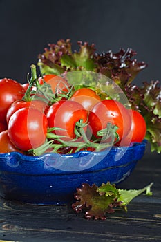 Fresh red small tomatoes and green leaf salad in blue bowl ready