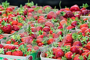 Fresh red strawberries in boxes