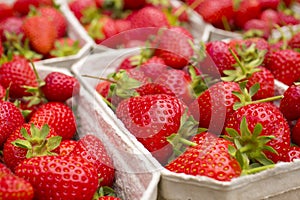 Fresh red strawberries in a local market in Germany