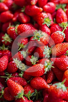 Fresh red strawberries sale at marketplace