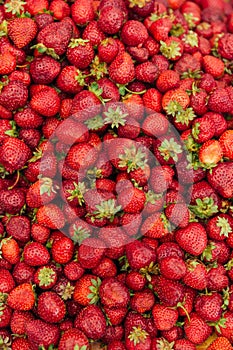 Fresh red strawberry background