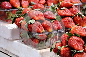 Fresh strawberry basket