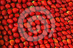 Fresh red strawberry fruits with green leaves arranged in group