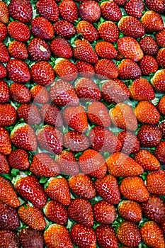 Fresh red strawberry fruits with green leaves