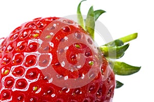 Fresh red strawberry with green leaves isolated on white background with water drops.