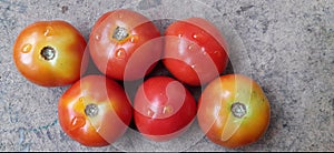 fresh  red tamoto isolated with backgrounds