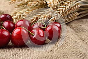 Fresh red and tasty cherries on jude background, with bunch of w