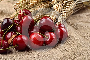 Fresh red and tasty cherries on jude background, with bunch of w