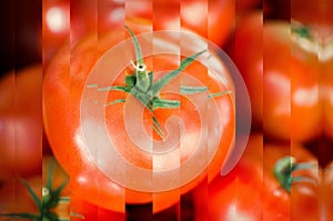 Fresh Red Tomato Abstract Art