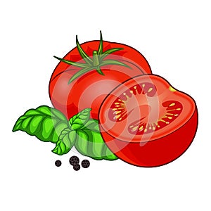 Fresh red tomato with basil and pepper isolated on white background