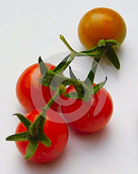 Fresh red tomato in the vegetable garden