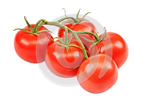 Fresh red tomato, on a white background