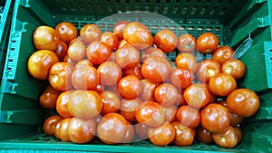 Fresh red tomatoes in boxes. Vegetables in local farmers market or supermarket. Rich harvest. Products supply. Retail industry.