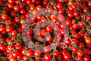 Fresh red tomatoes. Colorful background