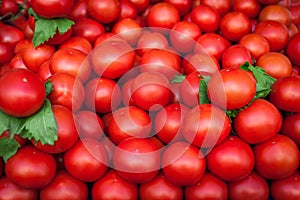 Fresh red tomatoes. Colorful background