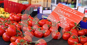 Fresh red tomatoes at a farmer market in France, Europe. Italian tomatoes. Street French market at Nice.