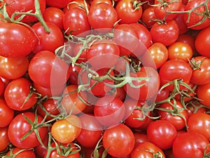 Fresh red tomatoes at farmers market