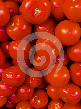 Fresh red tomatoes from the. Garden