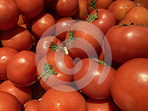 fresh red tomatoes in the indoor vegetable market