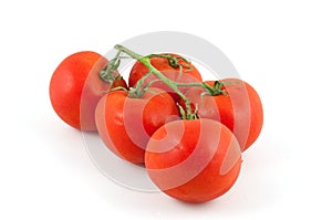 Fresh and red tomatoes isolated on white background