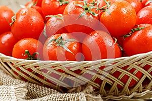 Fresh red tomatoes in a wicker basket on an old wooden table. Ripe and juicy cherry tomatoes with drops of moisture, gray wooden