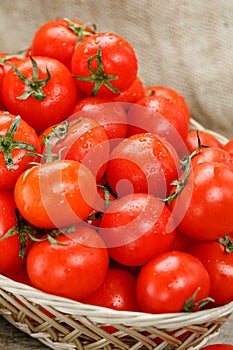 Fresh red tomatoes in a wicker basket on an old wooden table. Ripe and juicy cherry tomatoes with drops of moisture, gray wooden