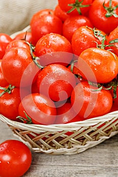 Fresh red tomatoes in a wicker basket on an old wooden table. Ripe and juicy cherry tomatoes with drops of moisture, gray wooden