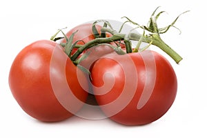 Fresh red tomatos