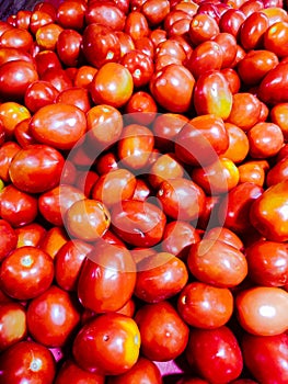 Fresh red Tomatos in Indian vegetable market mandi