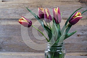 Fresh red tulip flowers bouquet in a glass jar