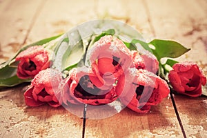 Fresh red tulip flowers bouquet on wood. Wet, morning dew.