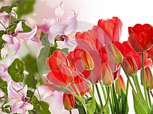 fresh red tulips on abstract spring nature background