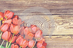 Fresh red tulips on a wood textured background