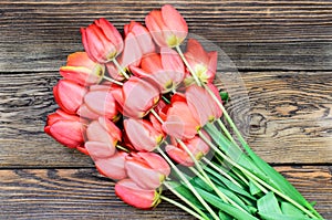 Fresh red tulips on a wood textured background