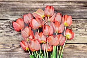 Fresh red tulips on a wood textured background