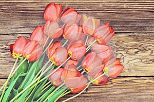 Fresh red tulips on a wood textured background