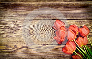 Fresh red tulips on a wood textured background