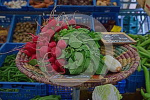 Fresh Red Turnip with green leaves on flat rattan basket