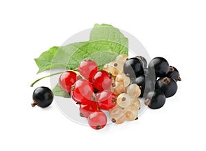 Fresh red, white and black currants with green leaf isolated on white