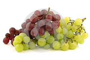 Fresh red and white seedless grapes on the vine