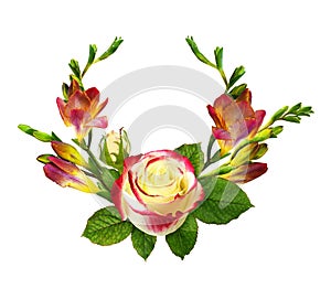 Fresh red and yellow freesia flowers and rose in floral arrangement