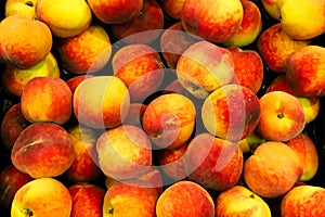 Fresh red and yellow peaches or nectarines Prunus persica on a fruit basket for sale in bio supermarket or grocery store