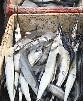 Fresh ribbonfish are on sale at seafood market in Bali