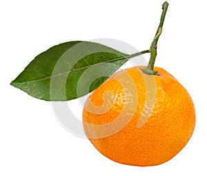Fresh ripe abkhazian mandarin with leaf isolated